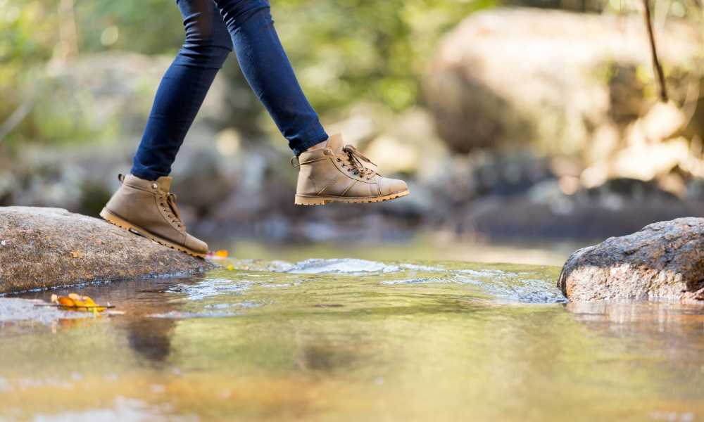 newton ridge hiking boot