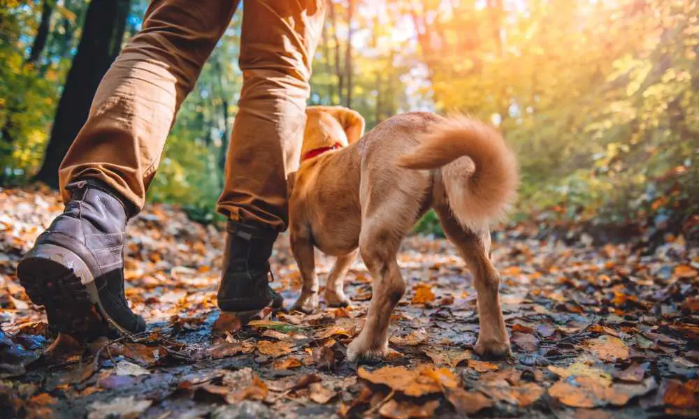 It All Starts Even Before Your First Hike