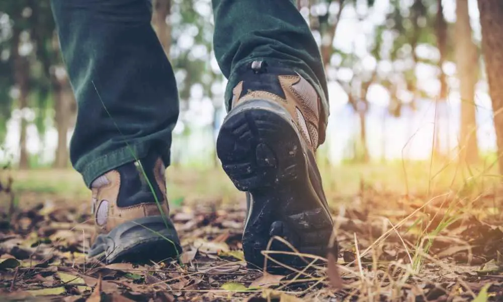 timberland white ledge hiking boot